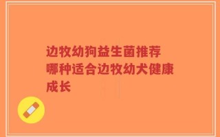 边牧幼狗益生菌推荐 哪种适合边牧幼犬健康成长