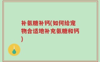 补氨糖补钙(如何给宠物合适地补充氨糖和钙)
