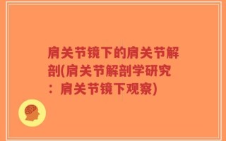 肩关节镜下的肩关节解剖(肩关节解剖学研究：肩关节镜下观察)
