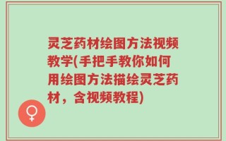 灵芝药材绘图方法视频教学(手把手教你如何用绘图方法描绘灵芝药材，含视频教程)