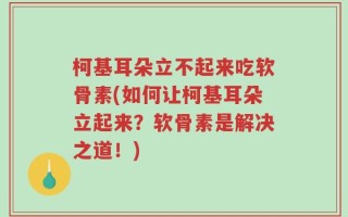 柯基耳朵立不起来吃软骨素(如何让柯基耳朵立起来？软骨素是解决之道！)