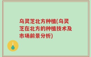 乌灵芝北方种植(乌灵芝在北方的种植技术及市场前景分析)