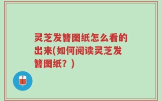 灵芝发簪图纸怎么看的出来(如何阅读灵芝发簪图纸？)