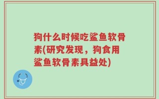 狗什么时候吃鲨鱼软骨素(研究发现，狗食用鲨鱼软骨素具益处)