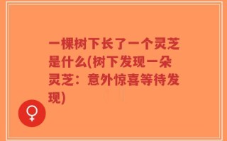 一棵树下长了一个灵芝是什么(树下发现一朵灵芝：意外惊喜等待发现)