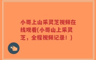 小哥上山采灵芝视频在线观看(小哥山上采灵芝，全程视频记录！)