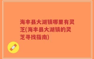 海丰县大湖镇哪里有灵芝(海丰县大湖镇的灵芝寻找指南)