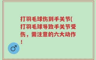 打羽毛球伤到手关节(打羽毛球导致手关节受伤，需注意的六大动作！