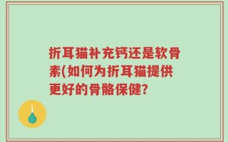 折耳猫补充钙还是软骨素(如何为折耳猫提供更好的骨骼保健？
