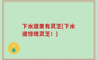 下水道里有灵芝(下水道惊现灵芝！)