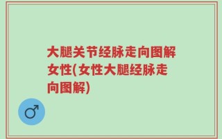 大腿关节经脉走向图解女性(女性大腿经脉走向图解)