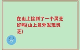 在山上捡到了一个灵芝好吗(山上意外发现灵芝)