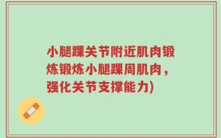 小腿踝关节附近肌肉锻炼锻炼小腿踝周肌肉，强化关节支撑能力)