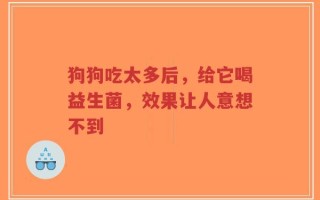 狗狗吃太多后，给它喝益生菌，效果让人意想不到