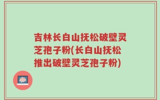 吉林长白山抚松破壁灵芝孢子粉(长白山抚松推出破壁灵芝孢子粉)