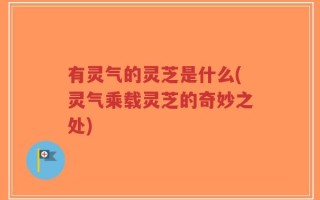 有灵气的灵芝是什么(灵气乘载灵芝的奇妙之处)