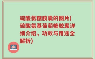 硫酸氨糖胶囊的图片(硫酸氨基葡萄糖胶囊详细介绍，功效与用途全解析)