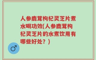 人参鹿茸枸杞灵芝片煮水喝功效(人参鹿茸枸杞灵芝片的水煮饮用有哪些好处？)
