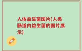 人体益生菌图片(人类肠道内益生菌的图片展示)