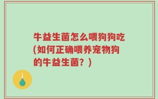 牛益生菌怎么喂狗狗吃(如何正确喂养宠物狗的牛益生菌？)