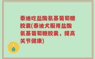 泰迪吃盐酸氨基葡萄糖胶囊(泰迪犬服用盐酸氨基葡萄糖胶囊，提高关节健康)