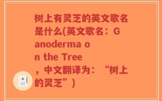 树上有灵芝的英文歌名是什么(英文歌名：Ganoderma on the Tree，中文翻译为：“树上的灵芝”)