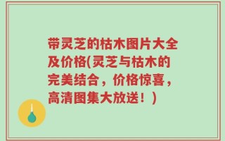 带灵芝的枯木图片大全及价格(灵芝与枯木的完美结合，价格惊喜，高清图集大放送！)