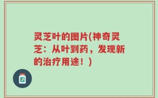 灵芝叶的图片(神奇灵芝：从叶到药，发现新的治疗用途！)