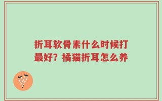 折耳软骨素什么时候打最好？橘猫折耳怎么养