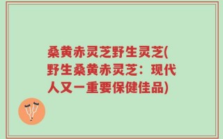 桑黄赤灵芝野生灵芝(野生桑黄赤灵芝：现代人又一重要保健佳品)