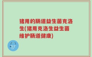 猪用的肠道益生菌克洛生(猪用克洛生益生菌维护肠道健康)
