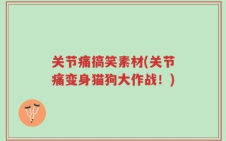 关节痛搞笑素材(关节痛变身猫狗大作战！)