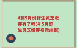 4到5月份野生灵芝嫩芽有了吗(4-5月野生灵芝嫩芽初露端倪)