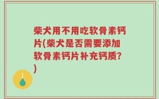 柴犬用不用吃软骨素钙片(柴犬是否需要添加软骨素钙片补充钙质？)