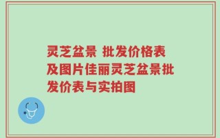 灵芝盆景 批发价格表及图片佳丽灵芝盆景批发价表与实拍图