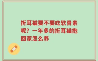 折耳猫要不要吃软骨素呢？一年多的折耳猫抱回家怎么养