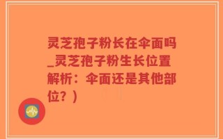 灵芝孢子粉长在伞面吗_灵芝孢子粉生长位置解析：伞面还是其他部位？)