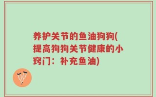 养护关节的鱼油狗狗(提高狗狗关节健康的小窍门：补充鱼油)