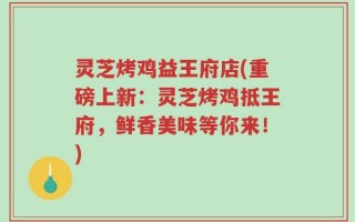 灵芝烤鸡益王府店(重磅上新：灵芝烤鸡抵王府，鲜香美味等你来！)