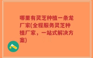 哪里有灵芝种植一条龙厂家(全程服务灵芝种植厂家，一站式解决方案)