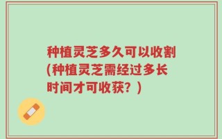 种植灵芝多久可以收割(种植灵芝需经过多长时间才可收获？)