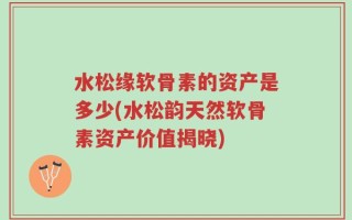 水松缘软骨素的资产是多少(水松韵天然软骨素资产价值揭晓)