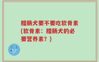 腊肠犬要不要吃软骨素(软骨素：腊肠犬的必要营养素？)
