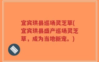 宜宾珙县巡场灵芝草(宜宾珙县盛产巡场灵芝草，成为当地新宠。)