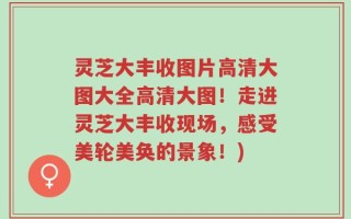 灵芝大丰收图片高清大图大全高清大图！走进灵芝大丰收现场，感受美轮美奂的景象！)