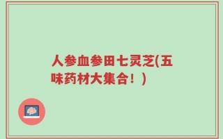 人参血参田七灵芝(五味药材大集合！)
