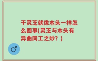 干灵芝就像木头一样怎么回事(灵芝与木头有异曲同工之妙？)