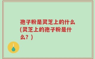 孢子粉是灵芝上的什么(灵芝上的孢子粉是什么？)