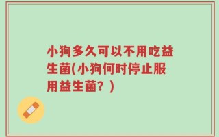 小狗多久可以不用吃益生菌(小狗何时停止服用益生菌？)