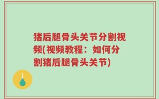 猪后腿骨头关节分割视频(视频教程：如何分割猪后腿骨头关节)